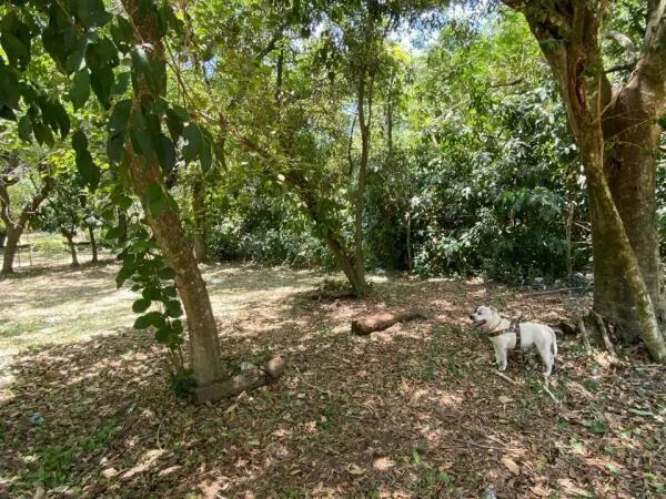 Land for sale in San Bernardino, 4 minutes from Club Náutico