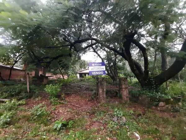 Terreno en venta en San Bernardino, Barrio 6 — zona Anfiteatro