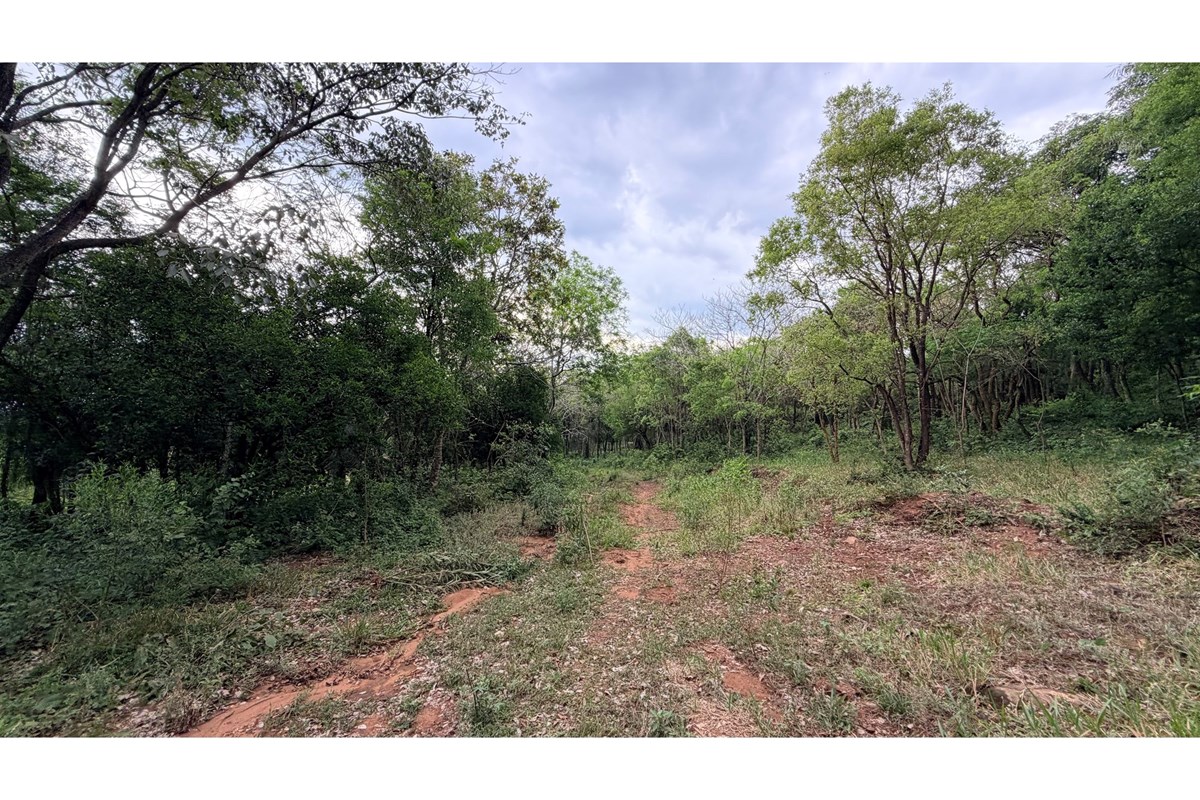 Land for sale in San Bernardino, Cordillera