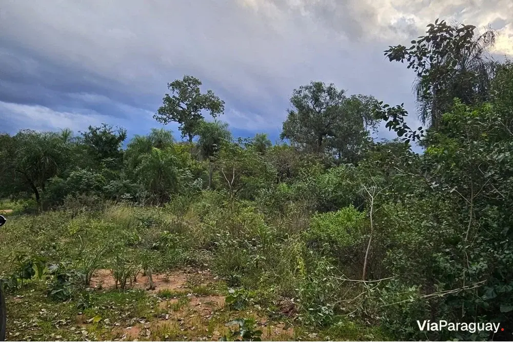 Land for sale in San Bernardino, Cordillera
