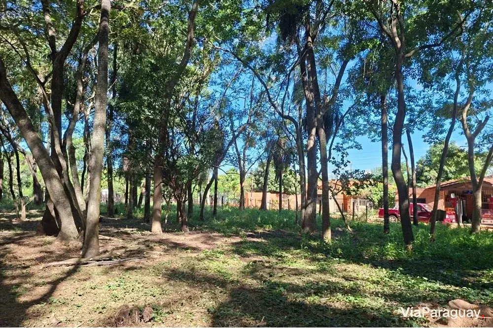 Land for sale in San Bernardino, Cordillera
