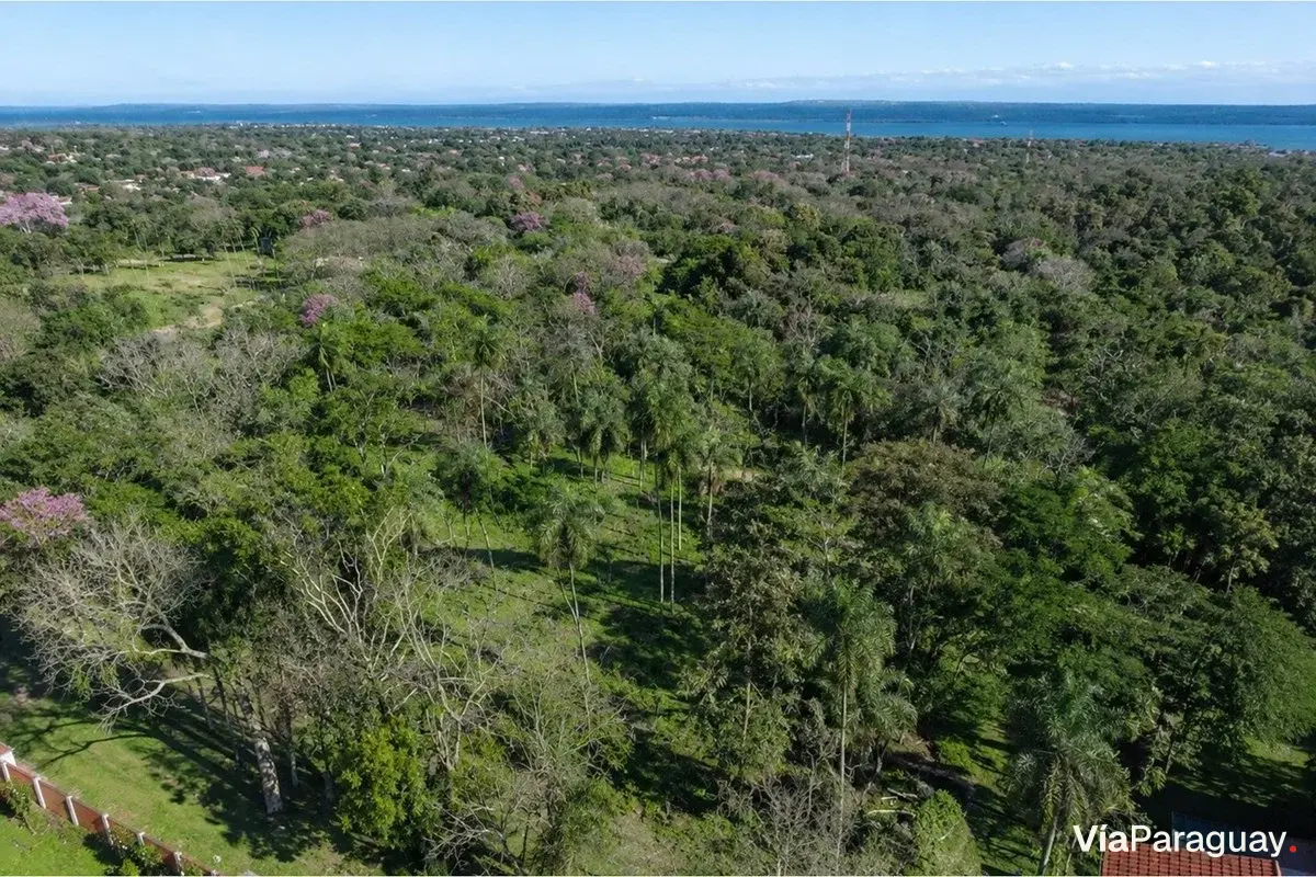 Land for sale in San Bernardino, Cordillera