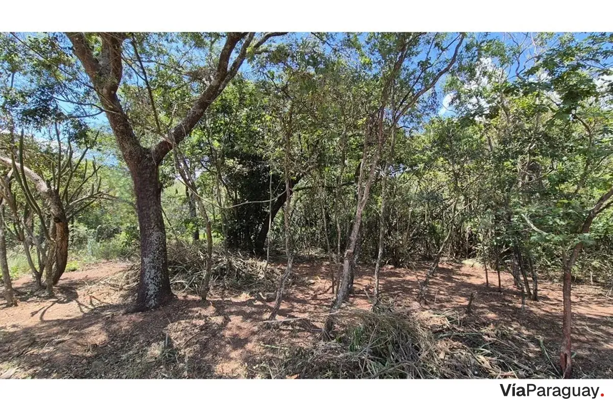 Terreno en venta en San Bernardino, Cordillera