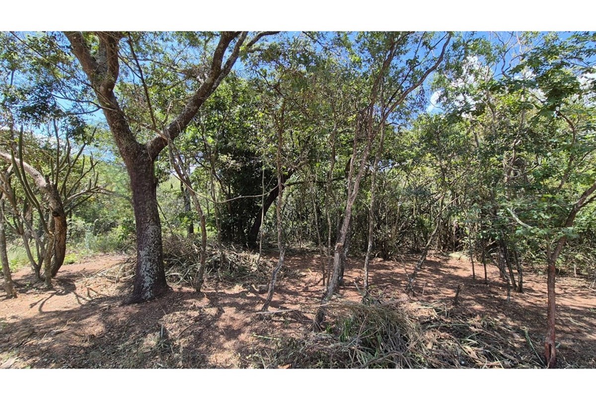 Terreno en venta en San Bernardino, Cordillera