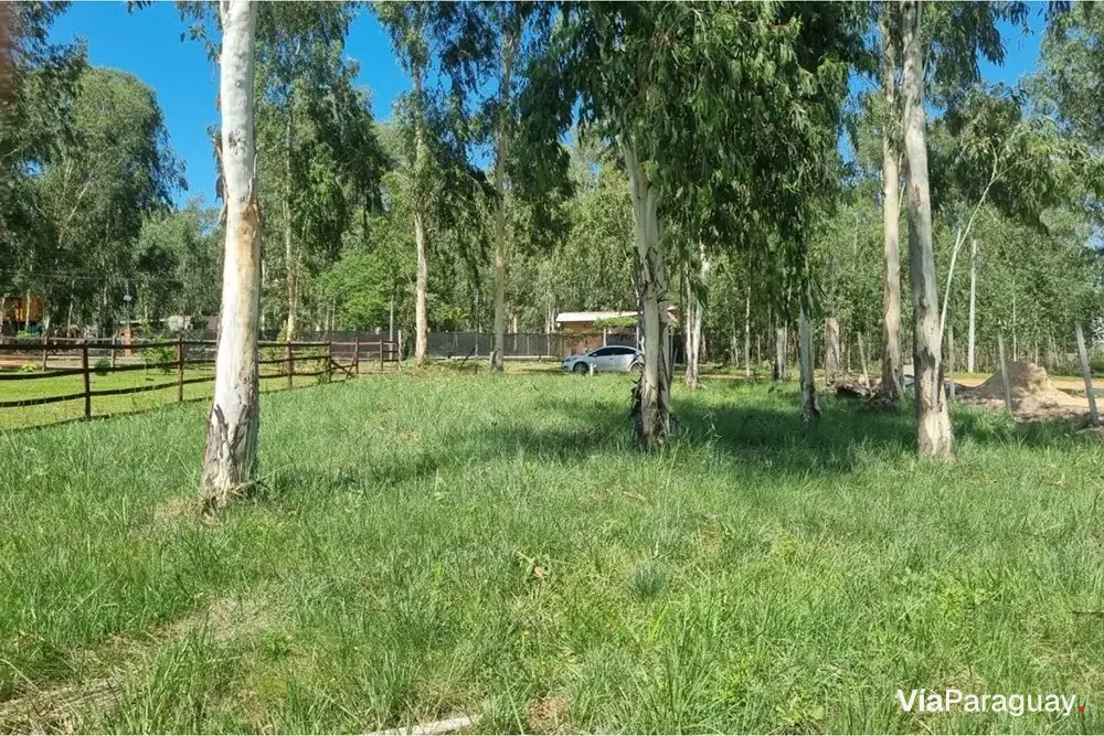 Terreno en venta en San Bernardino, Cordillera