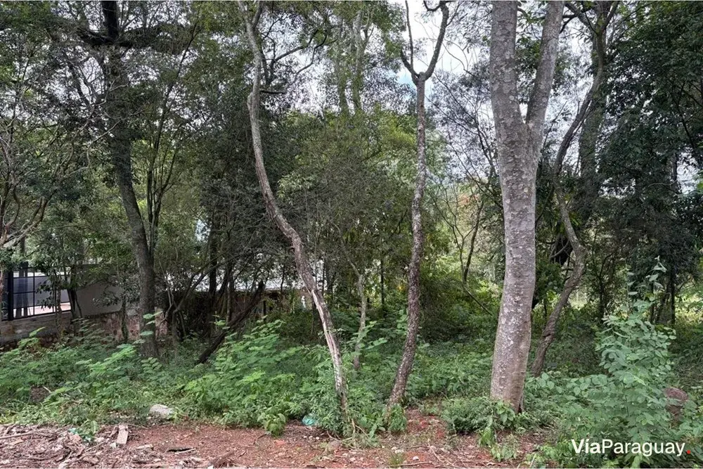 Land for sale in San Bernardino, Cordillera