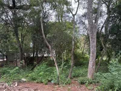 Land for sale in San Bernardino, Cordillera