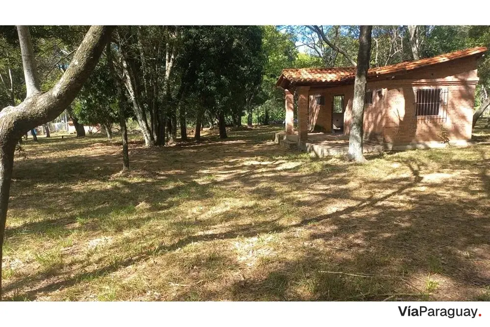 Land for sale in San Bernardino, Cordillera