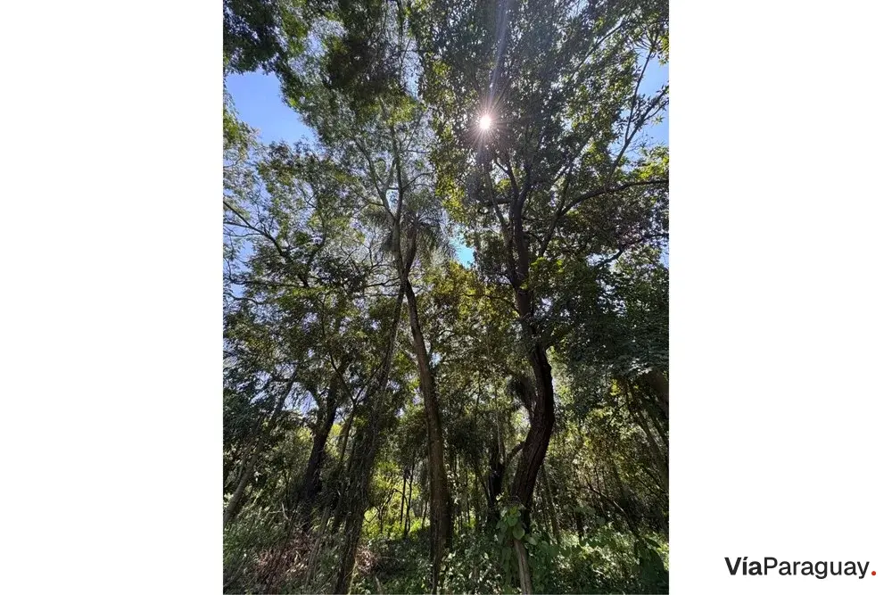 Terreno en venta en San Bernardino, Cordillera