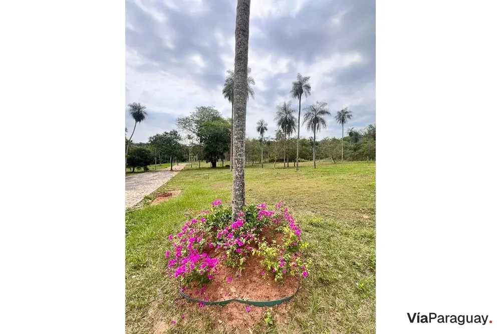 Land for sale in San Bernardino, Cordillera