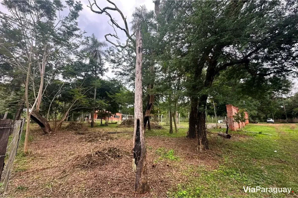 Land for sale in San Bernardino, Cordillera