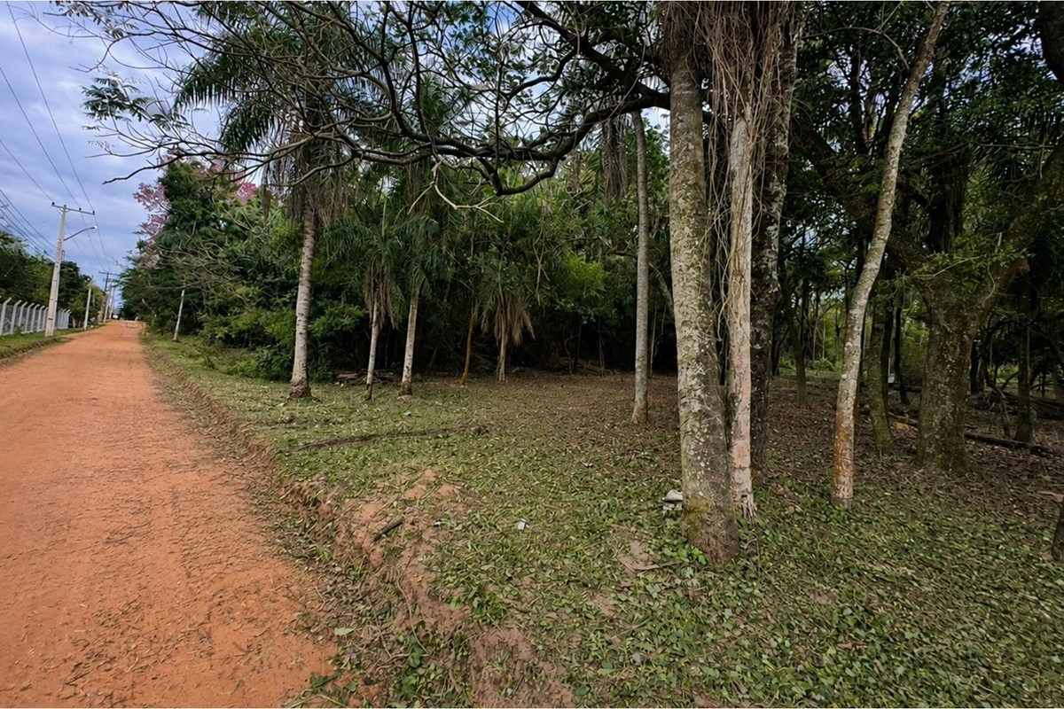Land for sale in San Bernardino, Cordillera
