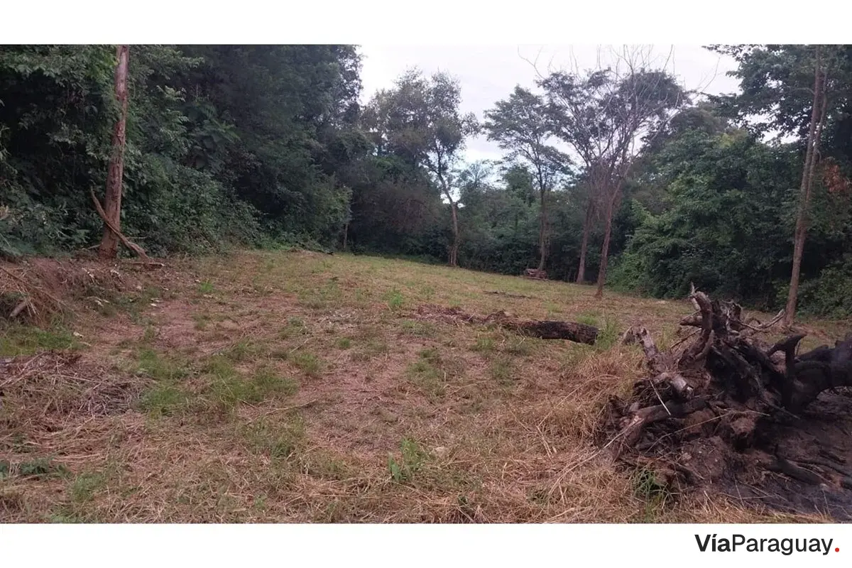 Terreno en venta en San Bernardino, Cordillera