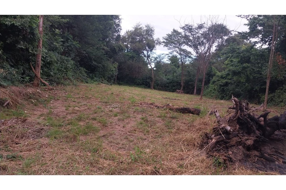 Land for sale in San Bernardino, Cordillera