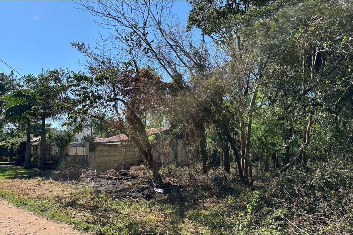 Land for sale in San Bernardino, Cordillera