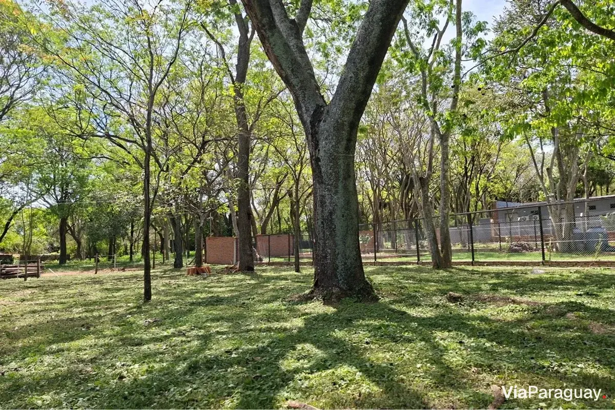Land for sale in San Bernardino, Cordillera