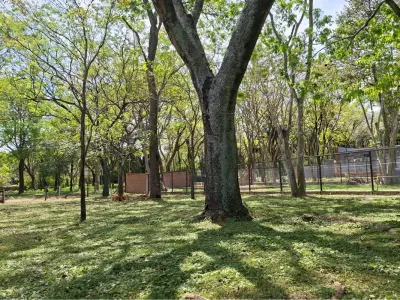 Land for sale in San Bernardino, Cordillera