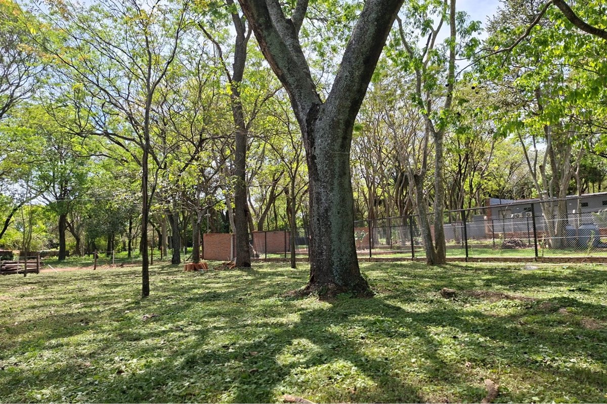 Land for sale in San Bernardino, Cordillera