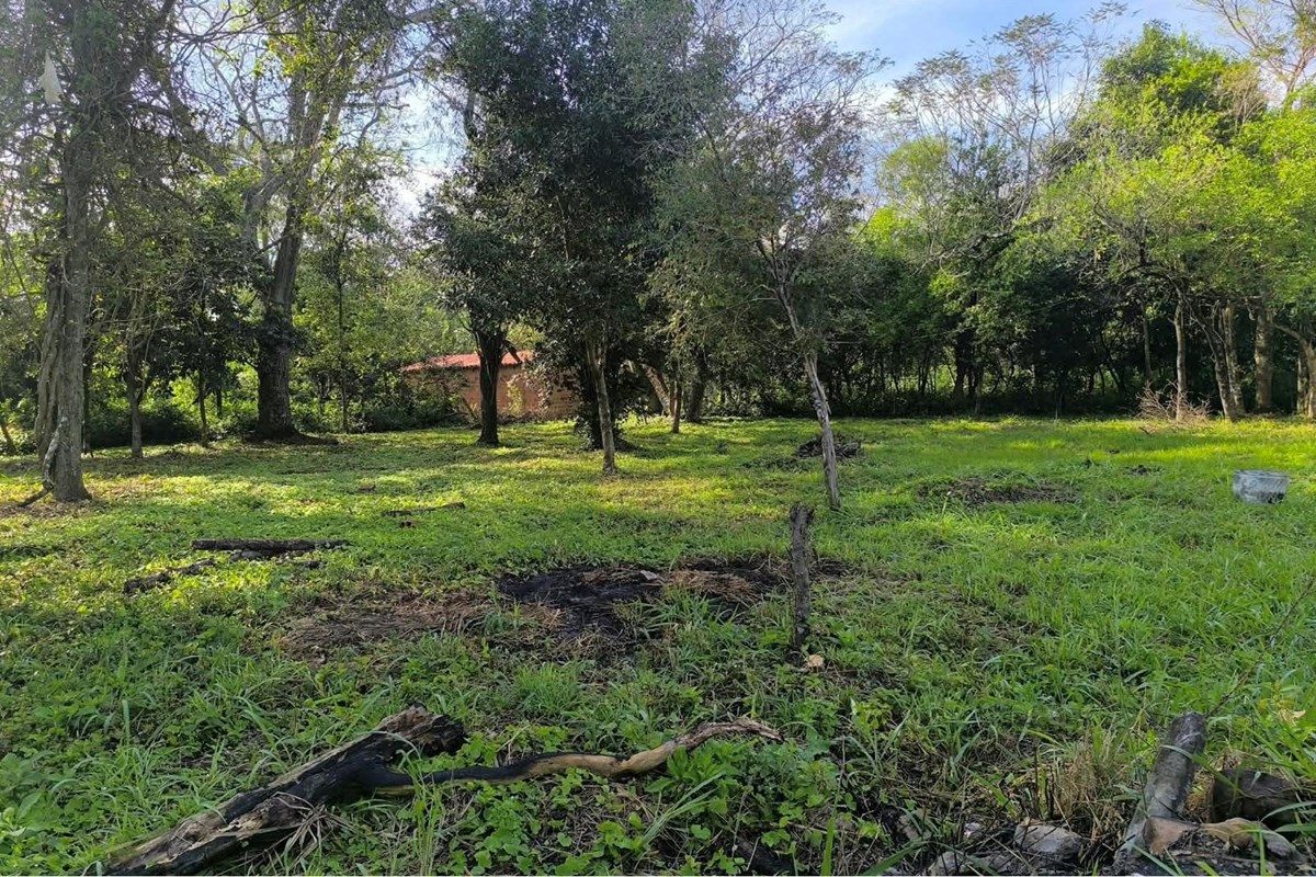 Land for sale in San Bernardino, Cordillera