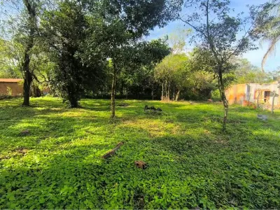Land for sale in San Bernardino, Cordillera