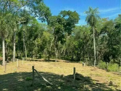 Land for Sale in San Bernardino, Cordillera