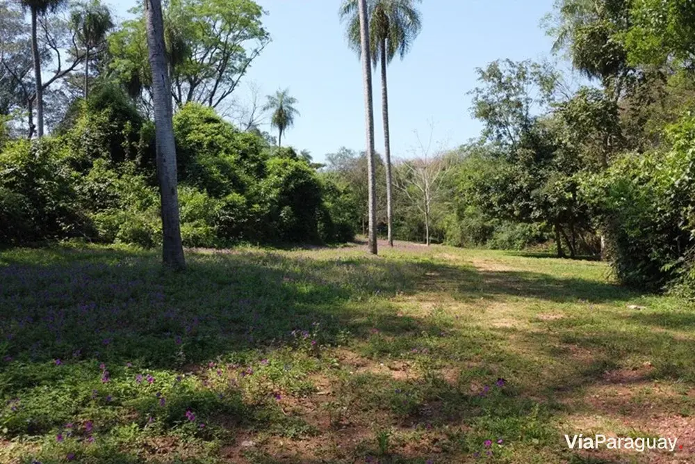 Terreno en venta en San Bernardino, La Gruta