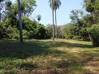 Terreno en venta en San Bernardino, La Gruta