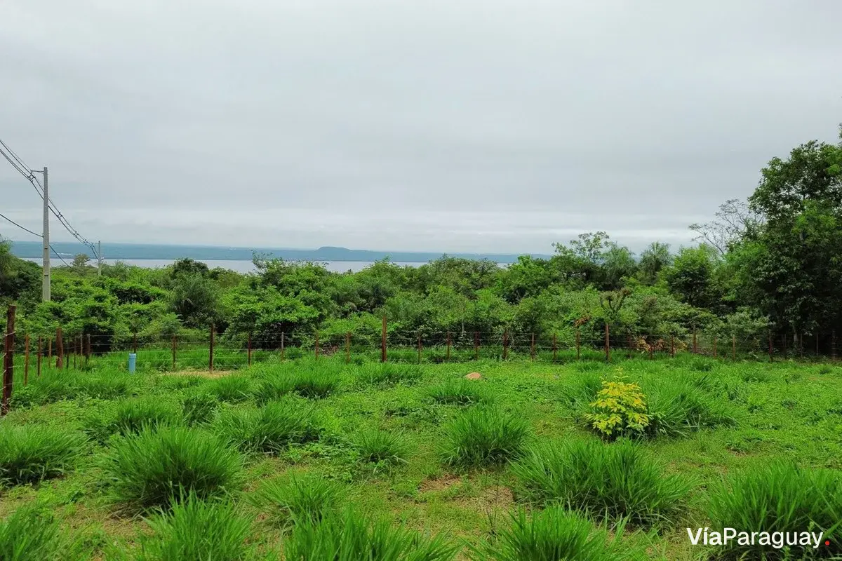 Land for sale in San Bernardino, La Suiza