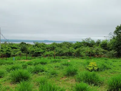 Land for sale in San Bernardino, La Suiza