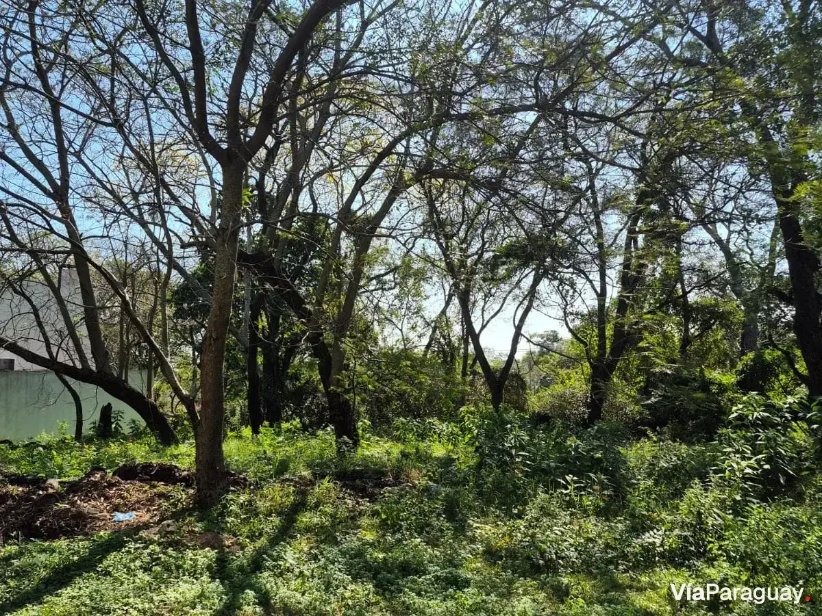 Terreno en venta en San Bernardino, Ybyanguy Primera
