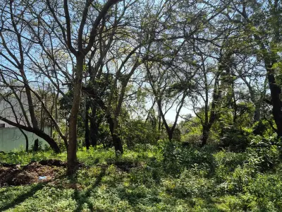 Terreno en venta en San Bernardino, Ybyanguy Primera