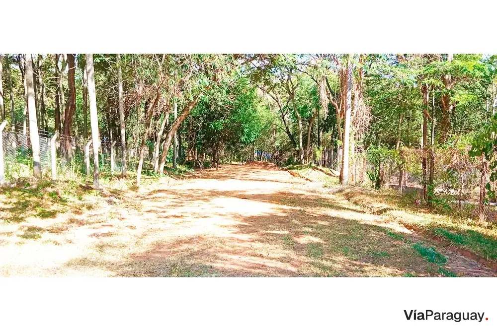 Land for sale in San Bernardino, Anfiteatro area