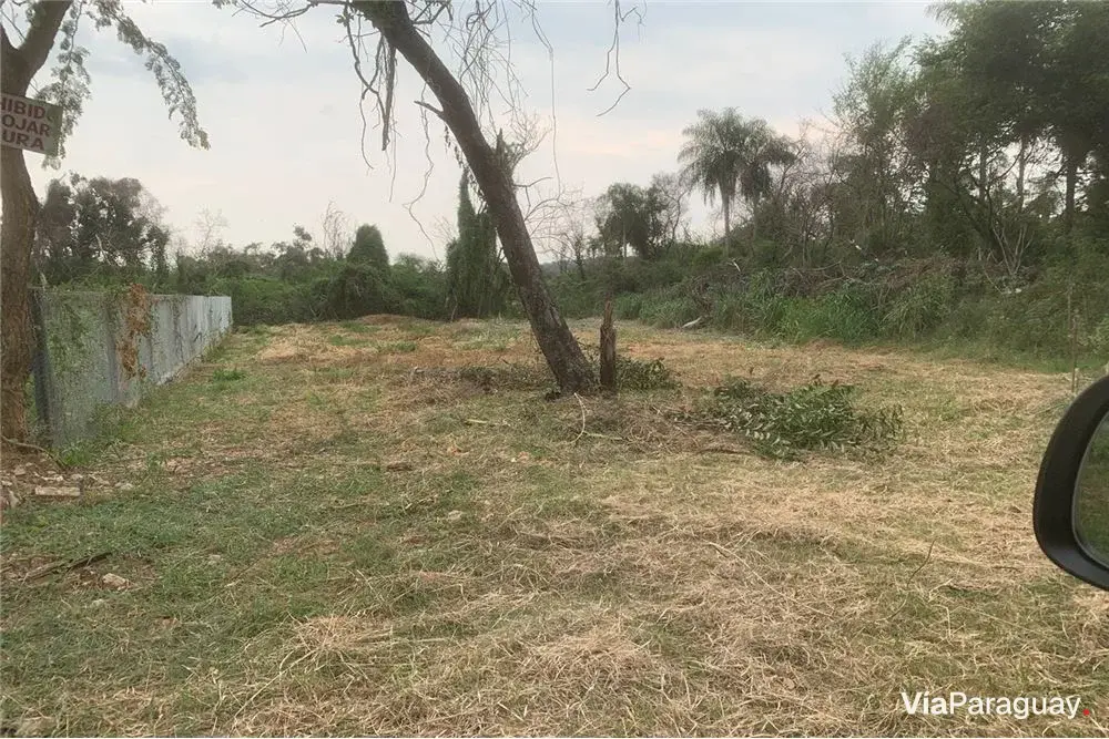 Land for sale in San Bernardino, Ciervo Cuá area