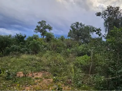 Terreno à venda em San Bernardino, zona Cristóbal Colón
