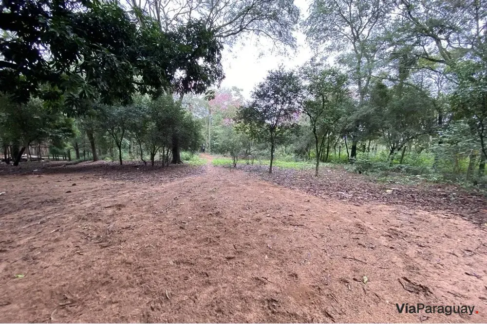 Land for sale in San Bernardino, Zona La Suiza 2