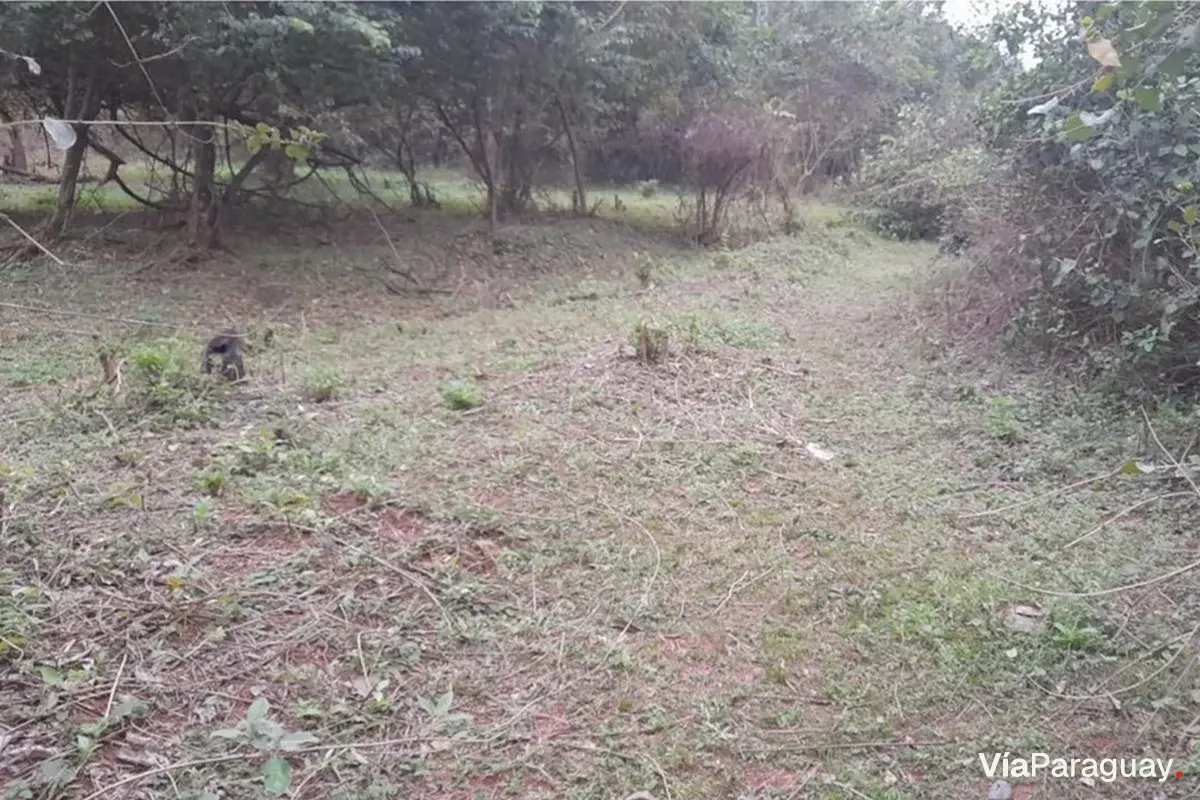 Terreno à venda em Itá, bairro San Blas