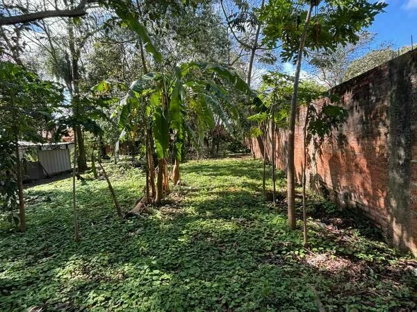 Land for Sale in San Estanislao, San Pedro