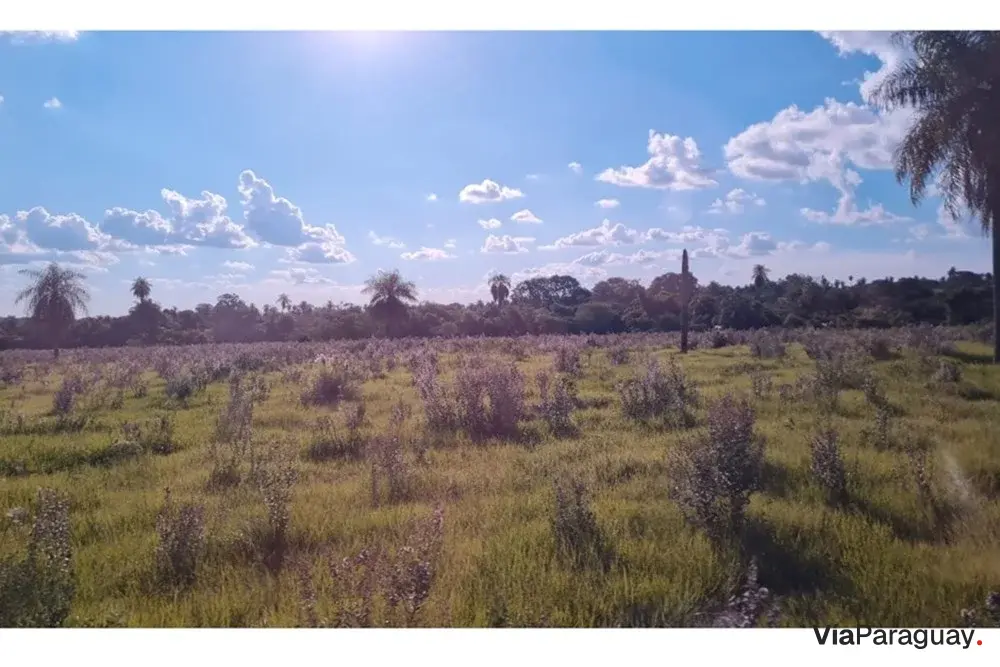 Terreno à venda em San Ignacio, Misiones
