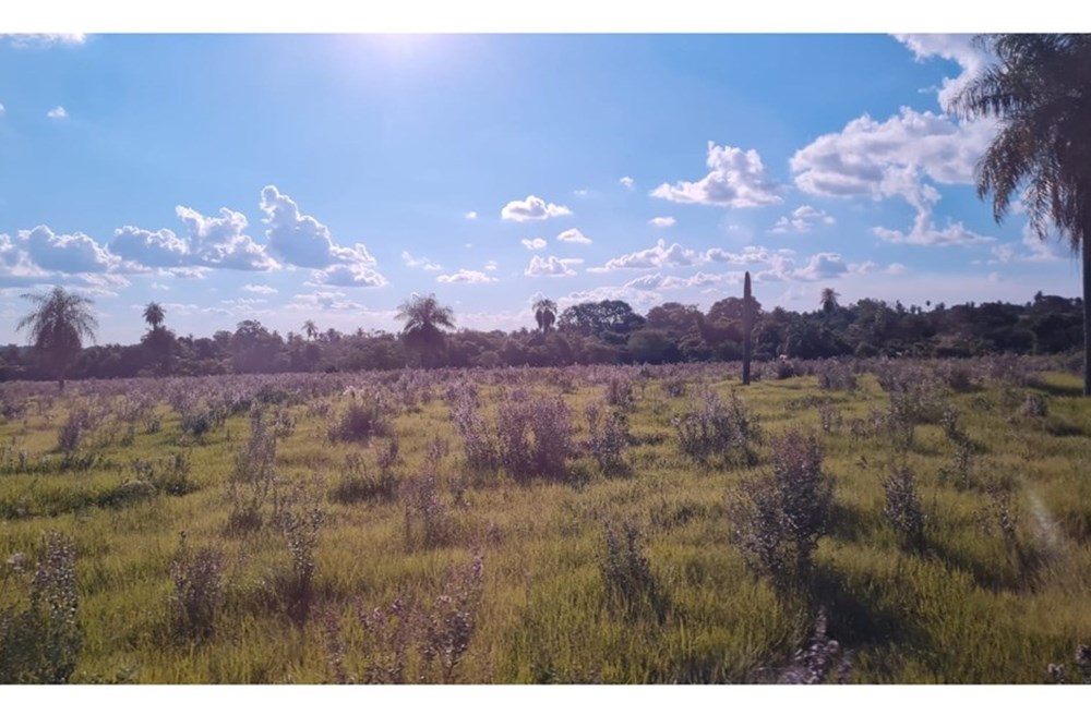 Land for sale in San Ignacio, Misiones