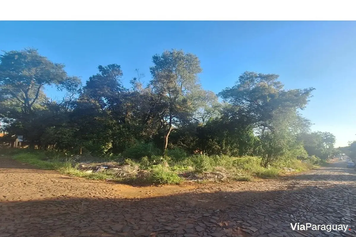 Land for sale in San Isidro, Cambyretá