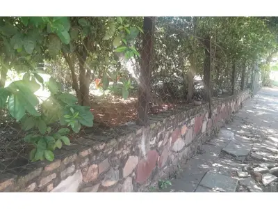Terreno à venda em San Isidro, Lambaré