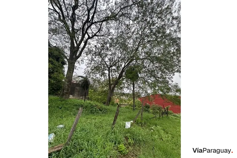 Terreno à venda em San Isidro, Lambaré