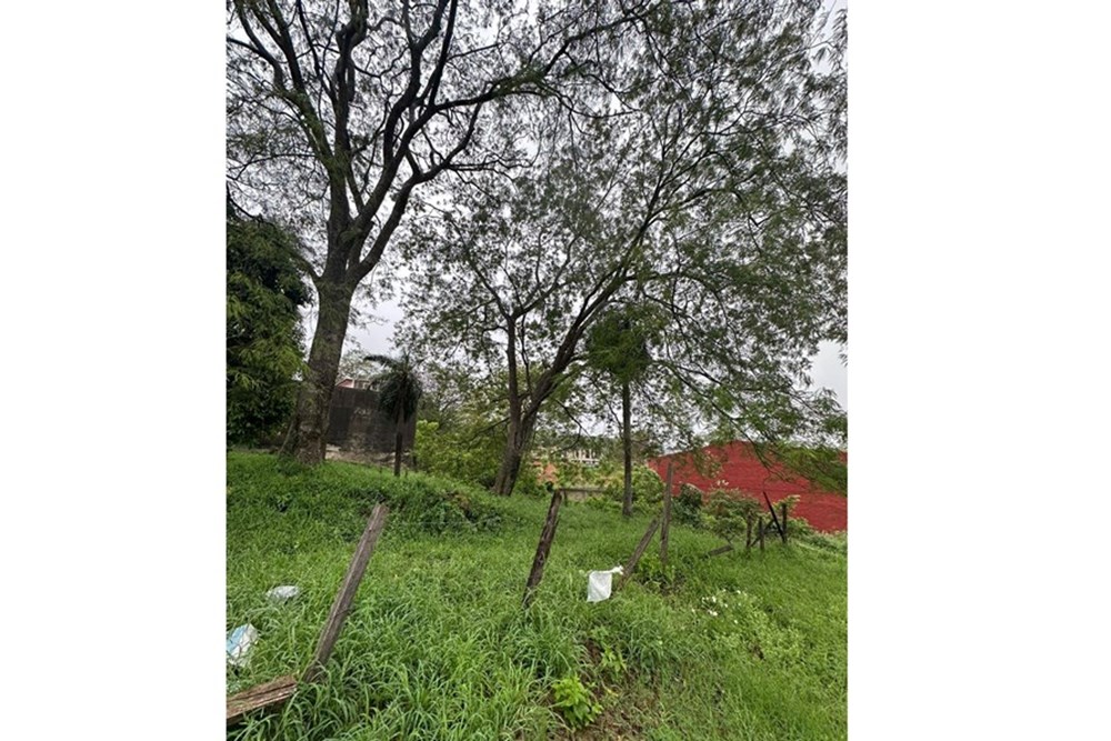 Terreno à venda em San Isidro, Lambaré