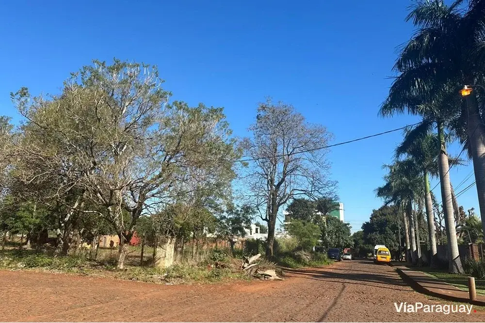 Land for sale in San José, Ciudad del Este