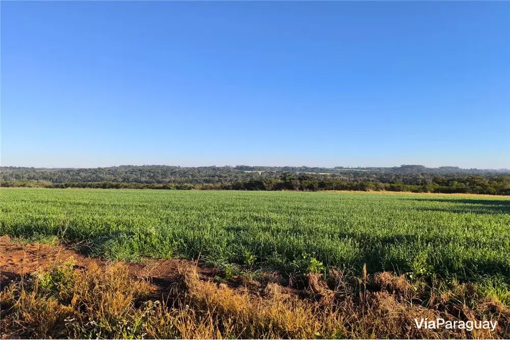 Land for sale in San Juan del Paraná, Itapúa