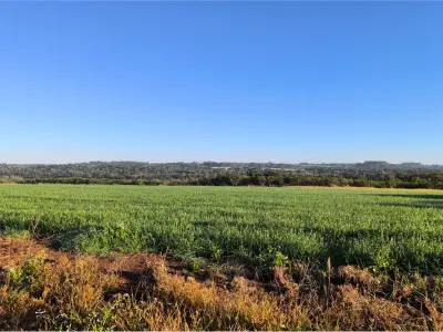 Land for sale in San Juan del Paraná, Itapúa