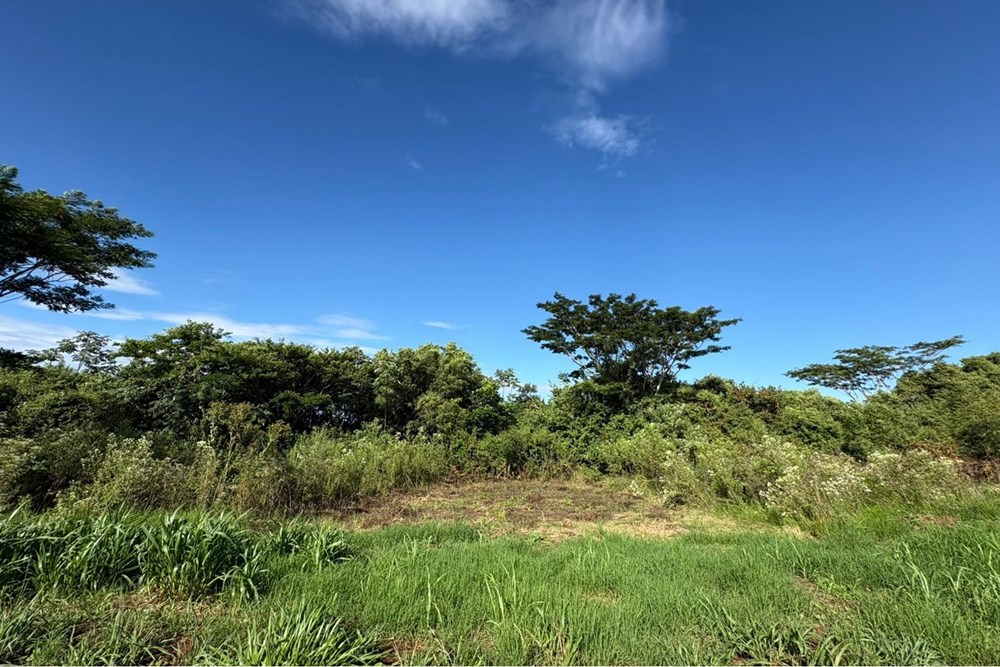 Land for sale in San Juan del Paraná, Itapúa