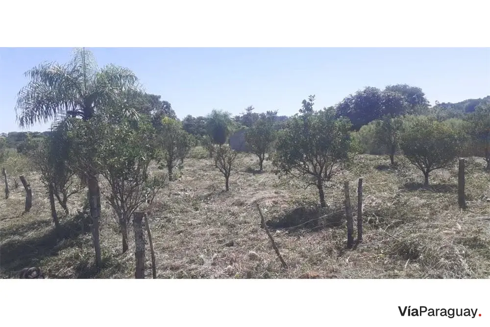 Land for sale in San Juan del Paraná, Itapúa