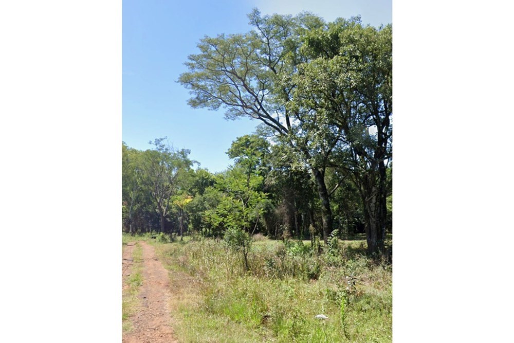 Land for sale in San Juan del Paraná, Itapúa