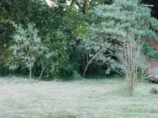 Terreno à venda em San Juan del Paraná, próximo a Encarnación